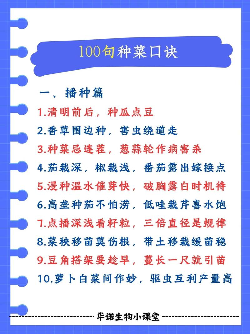 每一天都去播种  第1张