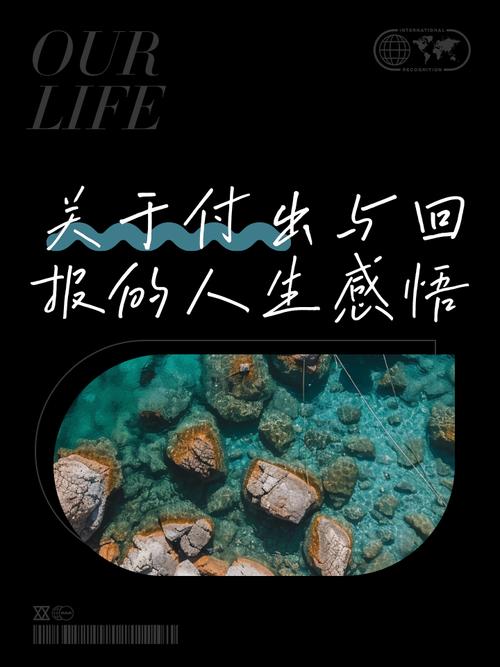 收获前，先学会付出?励志文章  第1张