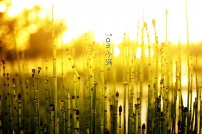 韶关螺蛳粉神仙句子爱情?关于螺蛳粉的感情软文 第1张 韶关螺蛳粉神仙句子爱情?关于螺蛳粉的感情软文 第1张