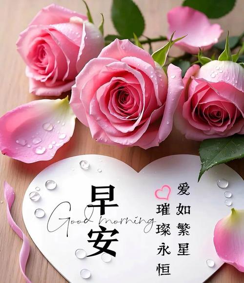 适合女生发的早安说说,温暖美好,沁人心脾 第1张 适合女生发的早安说说,温暖美好,沁人心脾 第1张