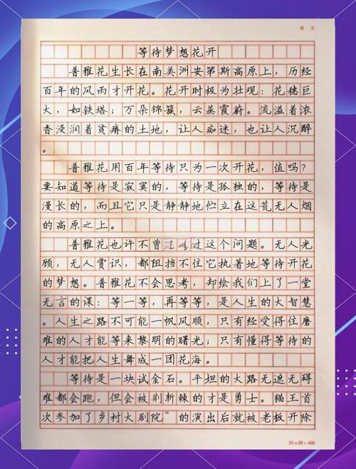 为了明天的成功，我们必须学会等待?励志文章  第1张