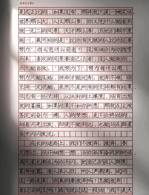 坚持就是相信梦想和奇迹作?励志文章  第1张
