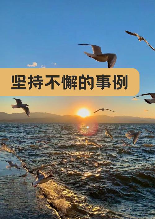 要坚持，更要专注  第1张