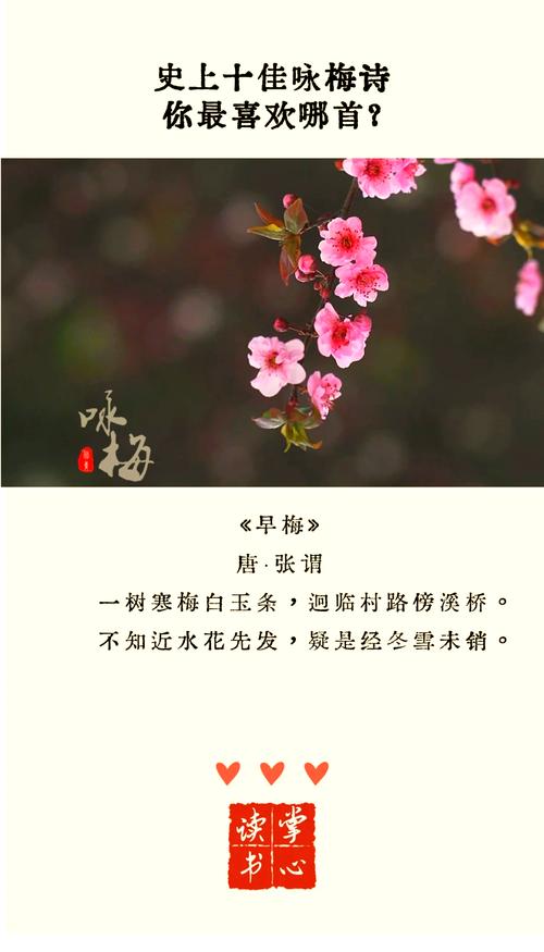 赞美你!冰雪俏佳人——梅 第1张 赞美你!冰雪俏佳人——梅 第1张