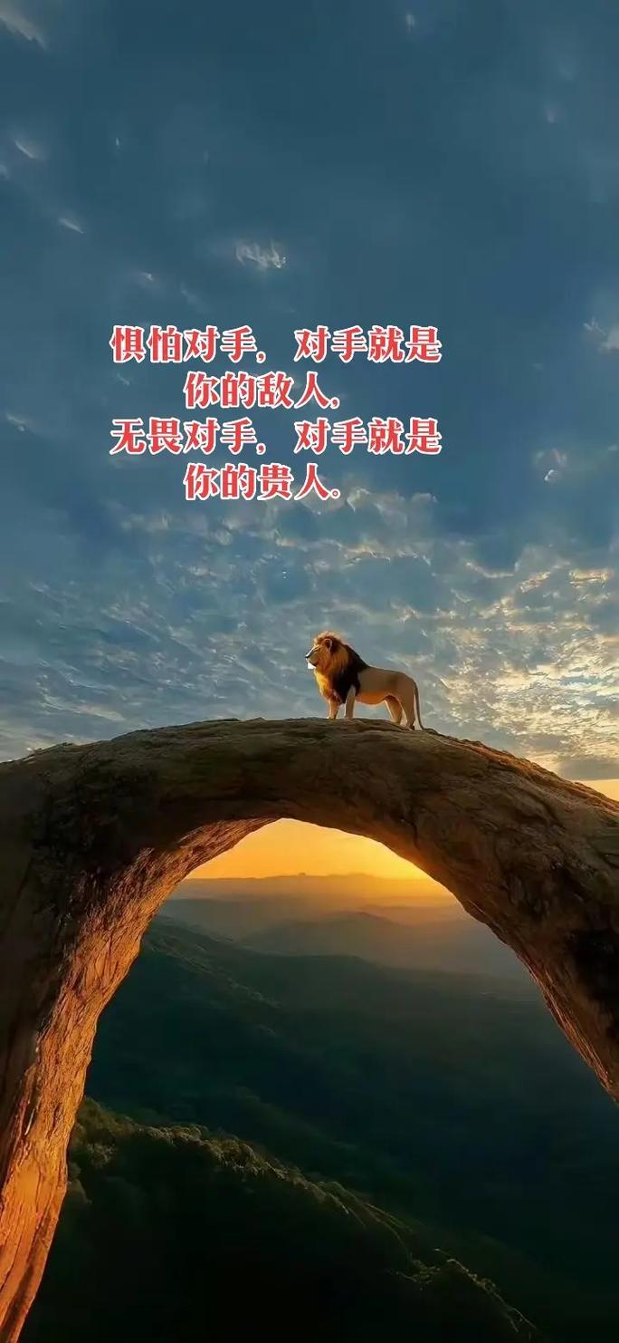 人生，须有强大的对手相伴  第1张