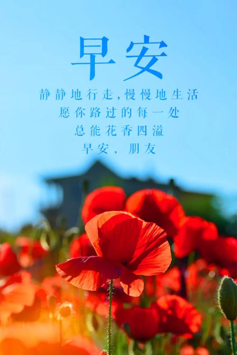 为自己而活的早安心语:天生丽质,不如天生励志 第1张 为自己而活的早安心语:天生丽质,不如天生励志 第1张