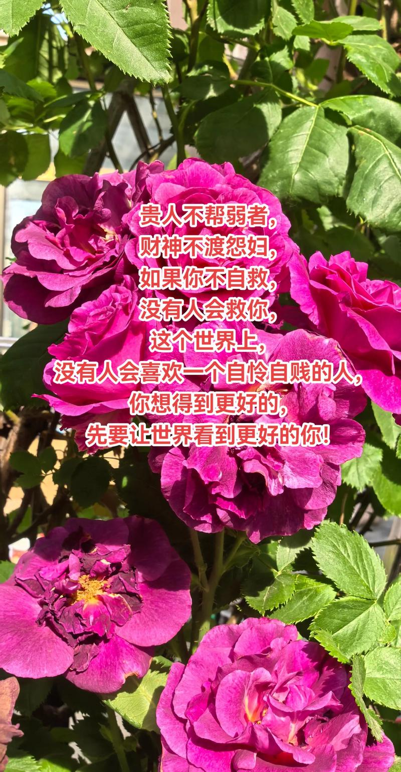 10条引人深思的短句,天助自助者,成功者自救 第1张 10条引人深思的短句,天助自助者,成功者自救 第1张