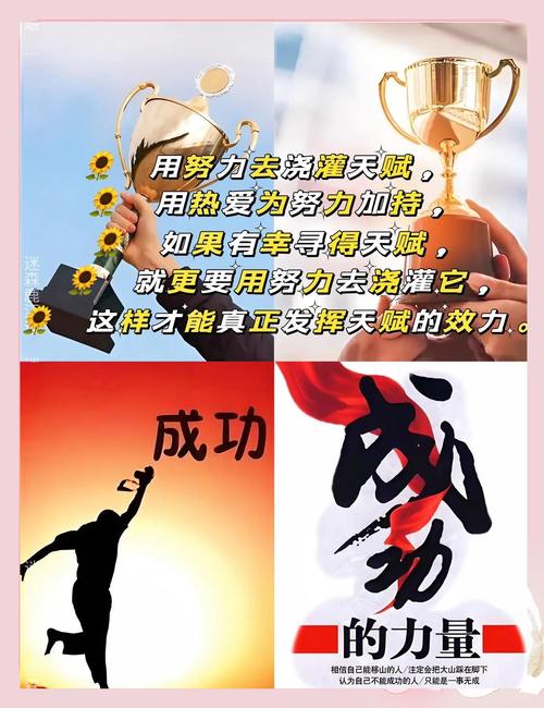 成功者最闪亮的素质 第1张 成功者最闪亮的素质 第1张