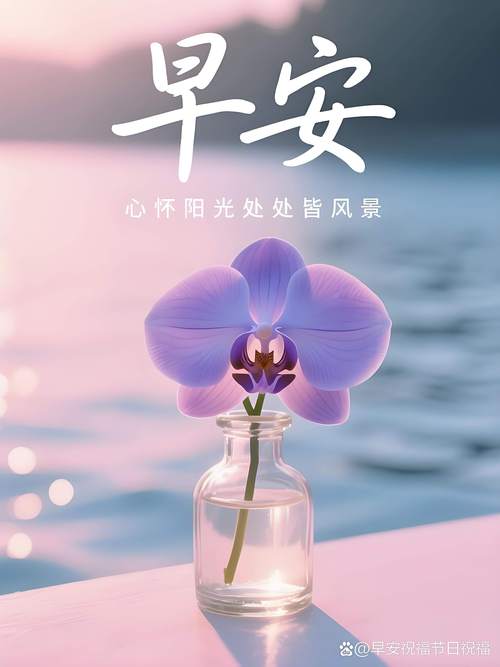 30句精选早安暖心句子带精美日签,祝你开心快乐每一天 第1张 30句精选早安暖心句子带精美日签,祝你开心快乐每一天 第1张