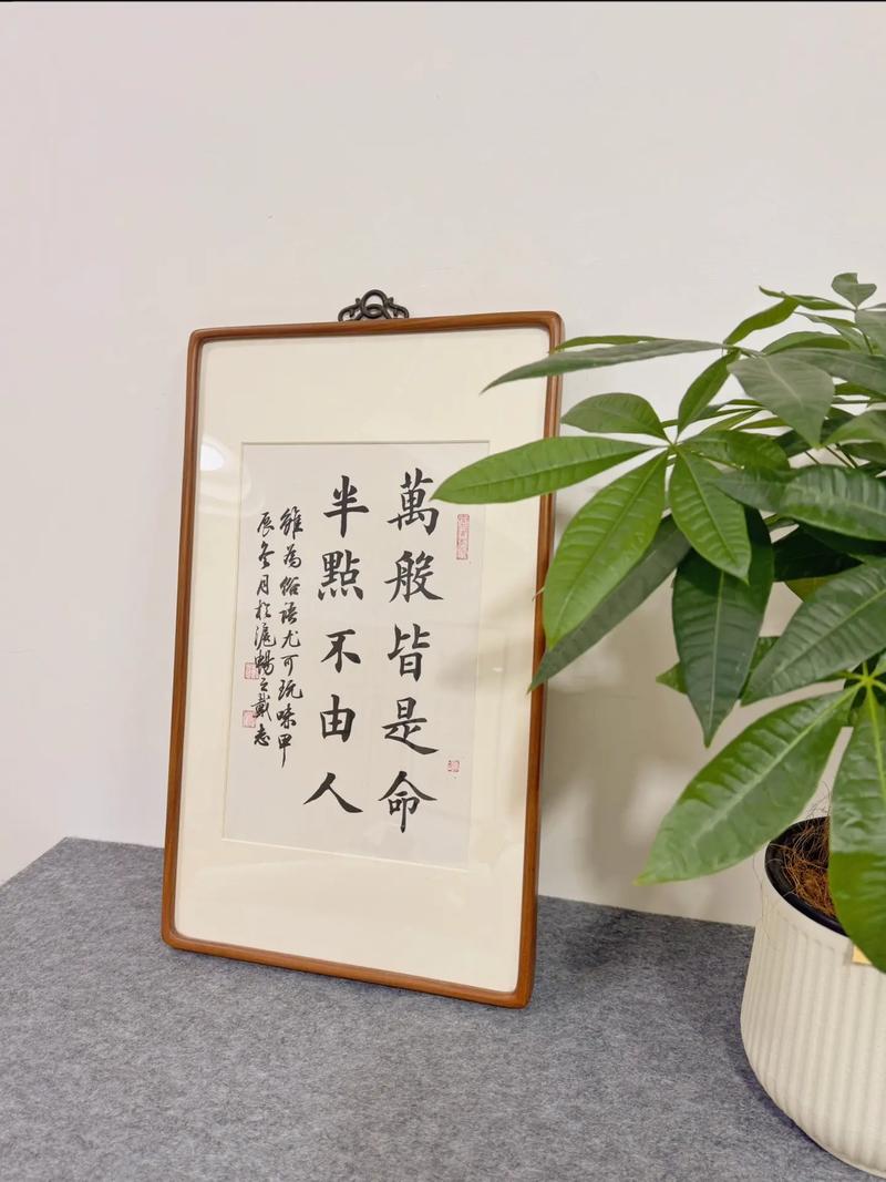 我命由我不由天?还是万般皆是命 ,半点不由人 第1张 我命由我不由天?还是万般皆是命 ,半点不由人 第1张