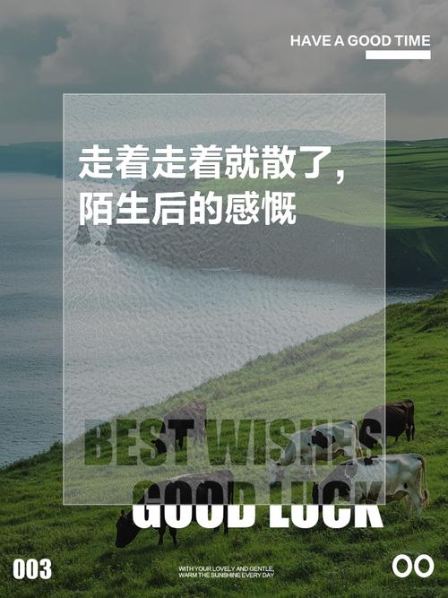 走着走着,已然找不到回去的路了(经典美文) 第1张 走着走着,已然找不到回去的路了(经典美文) 第1张