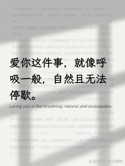 一生一定要薄发一次  第1张