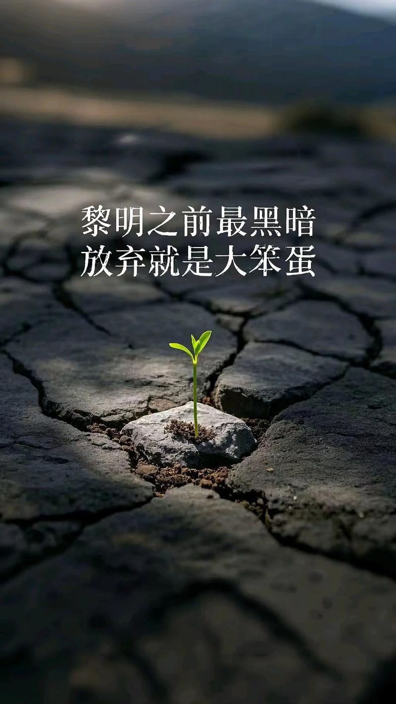 在成熟之前,承受时光的黑暗,成熟的过程是那样不堪 第1张 在成熟之前,承受时光的黑暗,成熟的过程是那样不堪 第1张