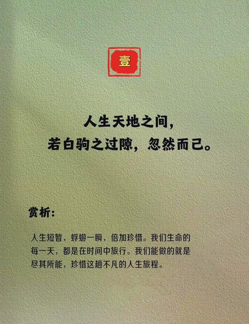 2018年度庄家感人套人经典语录最新版 第1张 2018年度庄家感人套人经典语录最新版 第1张