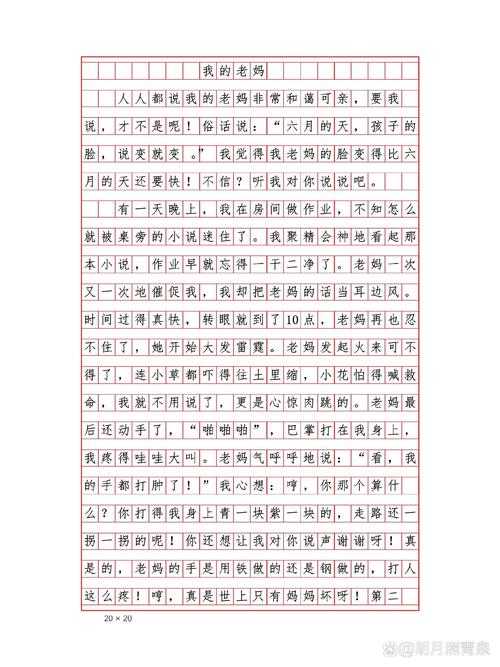 我的母亲高二作文600字 第1张 我的母亲高二作文600字 第1张