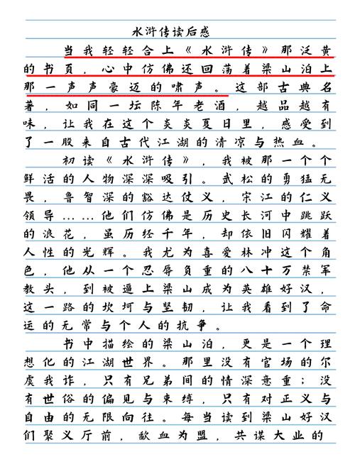 水浒传读后感高一作文 第1张 水浒传读后感高一作文 第1张