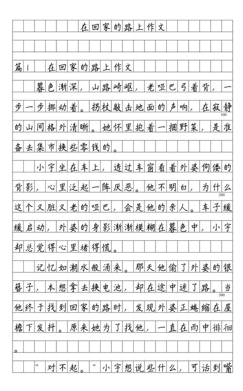 回家的路上高二作文 第1张 回家的路上高二作文 第1张