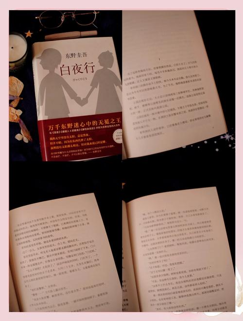 《白夜行》:剧毒的纯白之花 第1张 《白夜行》:剧毒的纯白之花 第1张