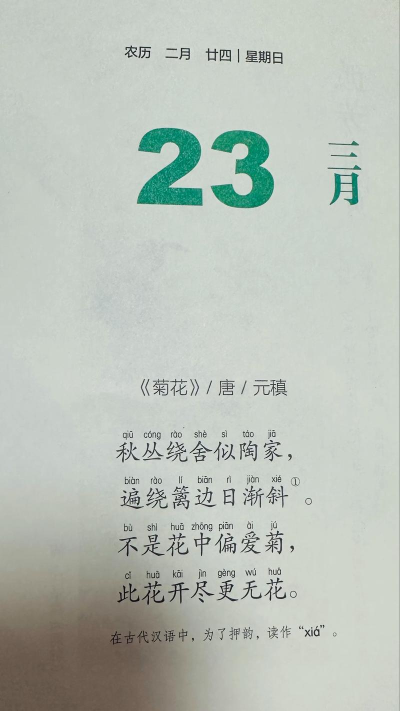 6首唯美的菊花诗词,读来朗朗上口,通俗易懂 第1张 6首唯美的菊花诗词,读来朗朗上口,通俗易懂 第1张