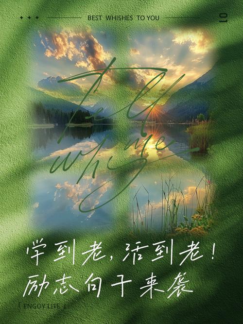 人为什么要活到老学到老:永无止境的学习之旅 第1张 人为什么要活到老学到老:永无止境的学习之旅 第1张