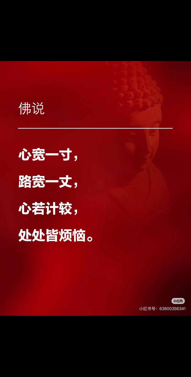 人心如路,越宽容,越宽阔 第1张 人心如路,越宽容,越宽阔 第1张