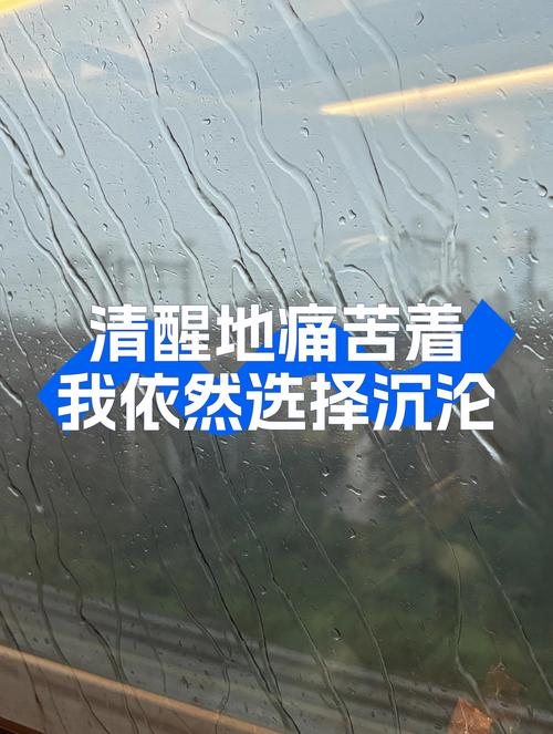 我选择受苦 第1张 我选择受苦 第1张