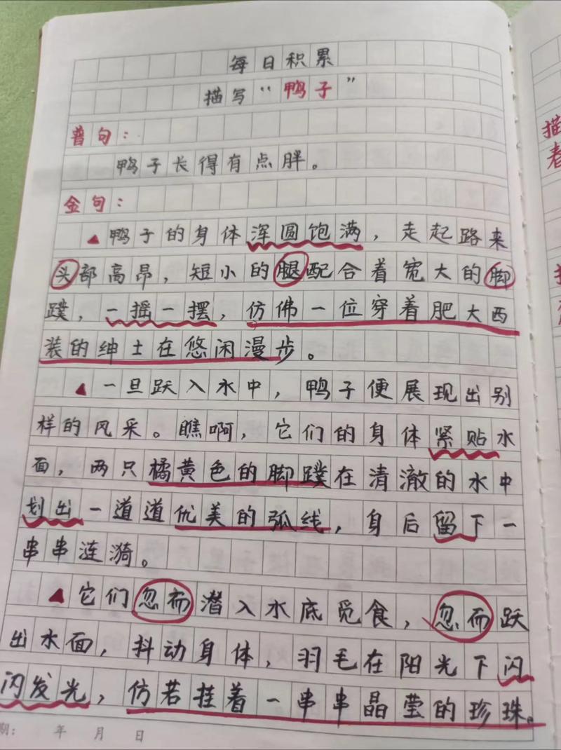 描写小动物的好词好句积累 第1张 描写小动物的好词好句积累 第1张