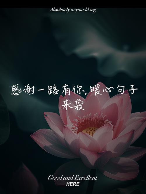 10句高情商表达感谢的句子 第1张 10句高情商表达感谢的句子 第1张