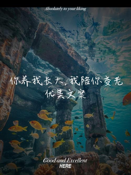 感恩父母:你陪我长大,我陪你变老 第1张 感恩父母:你陪我长大,我陪你变老 第1张