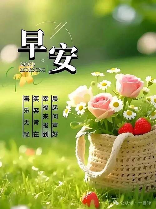 让早晨从早晨开始 第1张 让早晨从早晨开始 第1张