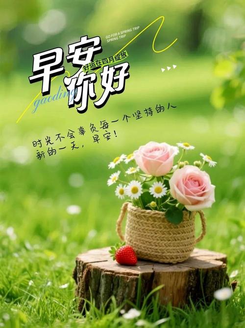 早安问候每日一语,高情商向领导问候早安的句子 第1张 早安问候每日一语,高情商向领导问候早安的句子 第1张