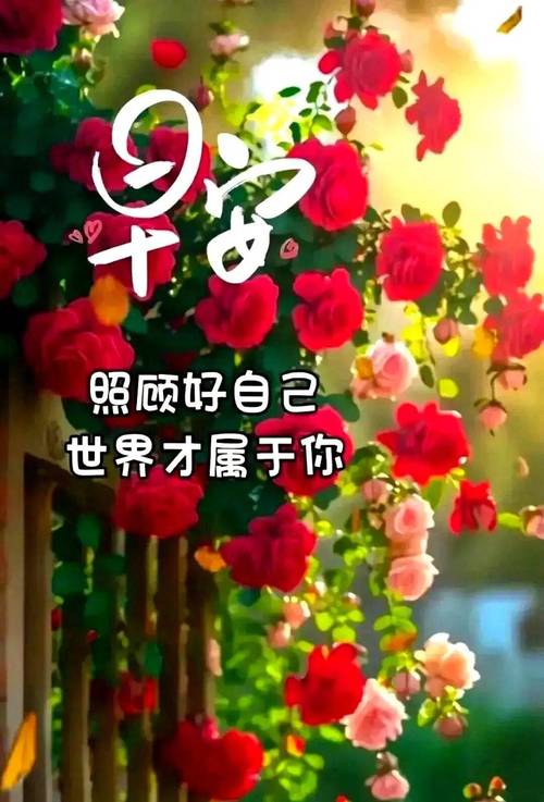一身正气的早安祝福句子,阳光明媚,给你好心情 第1张 一身正气的早安祝福句子,阳光明媚,给你好心情 第1张