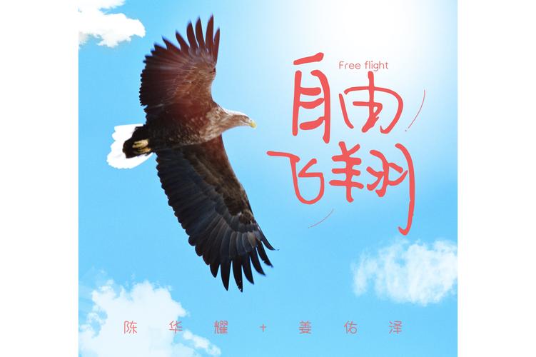 展开梦想的翅膀,海阔天空任你飞翔 第1张 展开梦想的翅膀,海阔天空任你飞翔 第1张