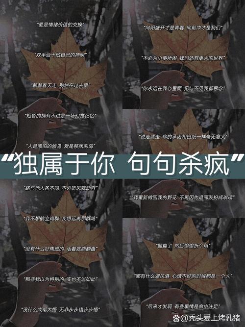 别追不累的羊,心无旁骜,抓到属于你自己的羊 第1张 别追不累的羊,心无旁骜,抓到属于你自己的羊 第1张