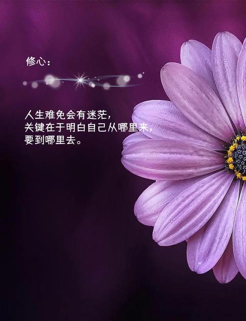 微信经典唯美的句子,适合长期不发朋友圈的你! 第1张 微信经典唯美的句子,适合长期不发朋友圈的你! 第1张