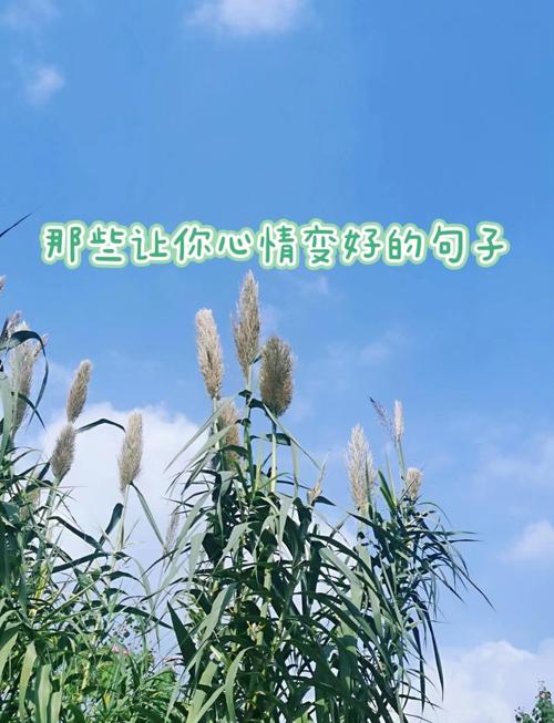 唯美句子,心情愉悦的唯美时刻,与你分享我的小确幸 第1张 唯美句子,心情愉悦的唯美时刻,与你分享我的小确幸 第1张