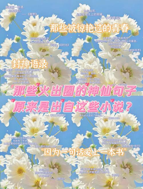 优美的小说短句 第1张 优美的小说短句 第1张