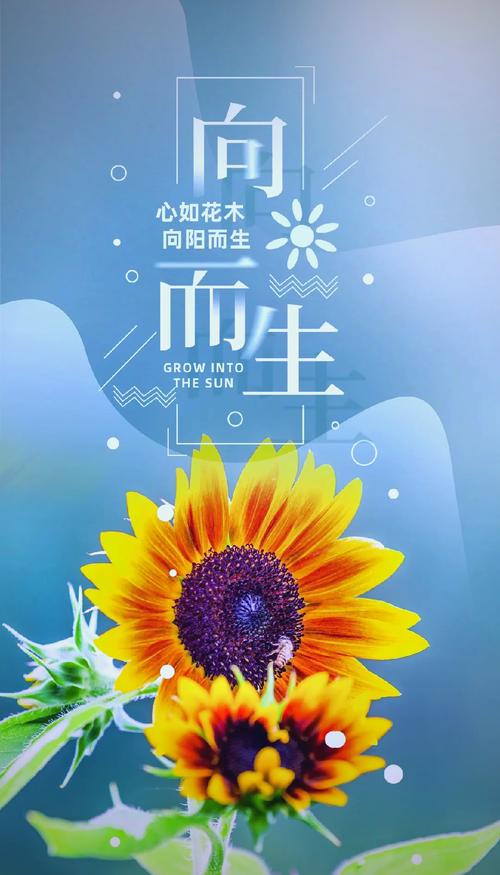 描写向日葵的优美句子 第1张 描写向日葵的优美句子 第1张