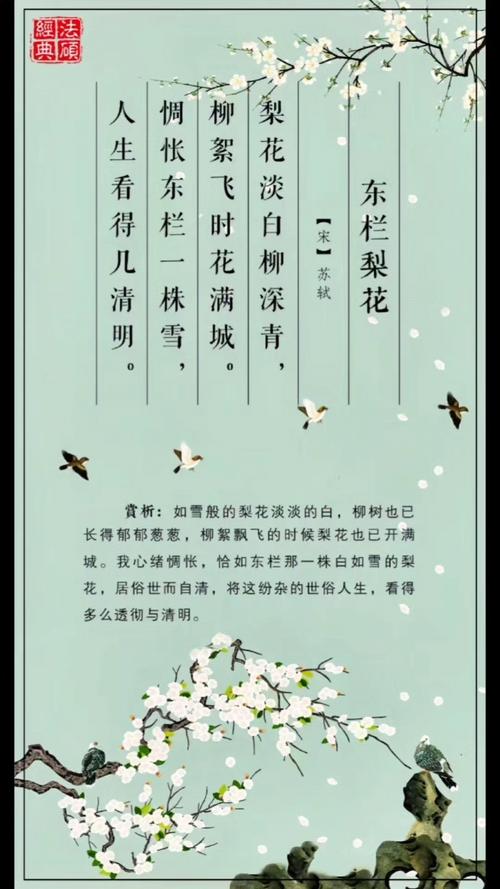 风吹棠梨花,十二首棠梨花的诗词,满树花开,洁白胜雪 第1张 风吹棠梨花,十二首棠梨花的诗词,满树花开,洁白胜雪 第1张