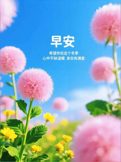 2023.1.11正能量早安问候语，早晨问好的励志优美句子，  第1张