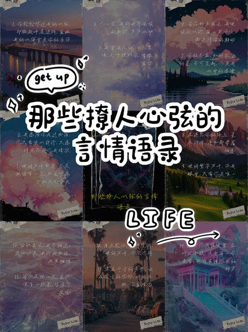 关于浪漫言情轻小说的文案  第1张