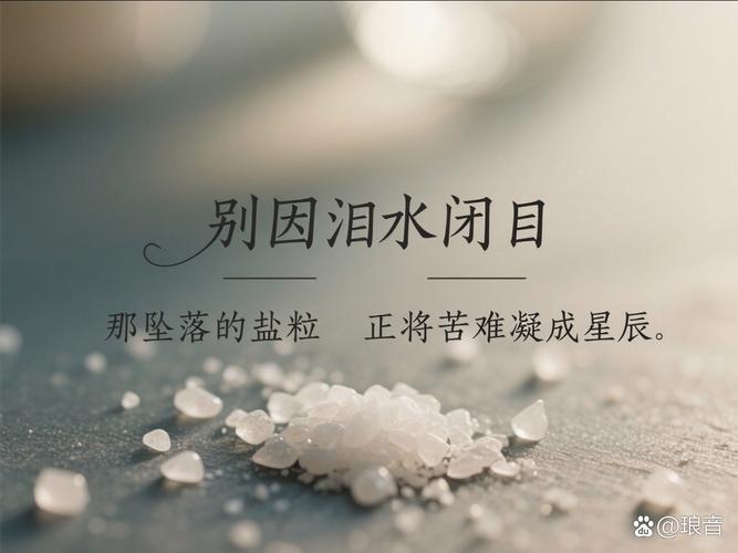 不过是流着眼泪吃着肉 第1张 不过是流着眼泪吃着肉 第1张