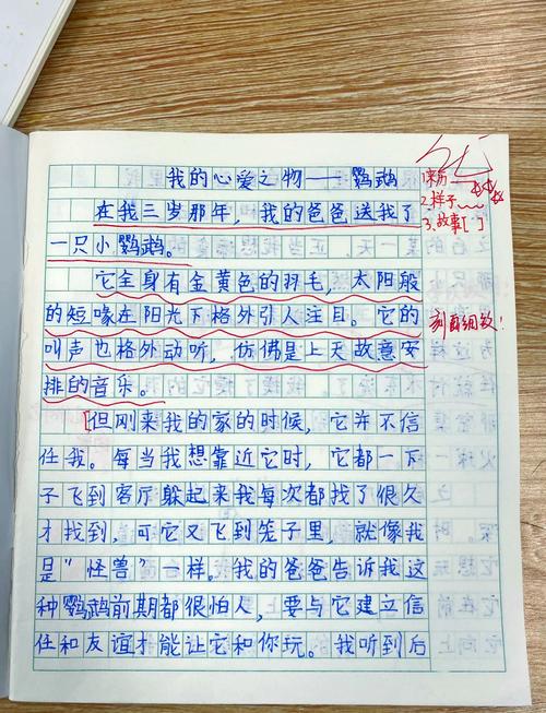 描写鹦鹉的作文(精选30篇) 第1张 描写鹦鹉的作文(精选30篇) 第1张