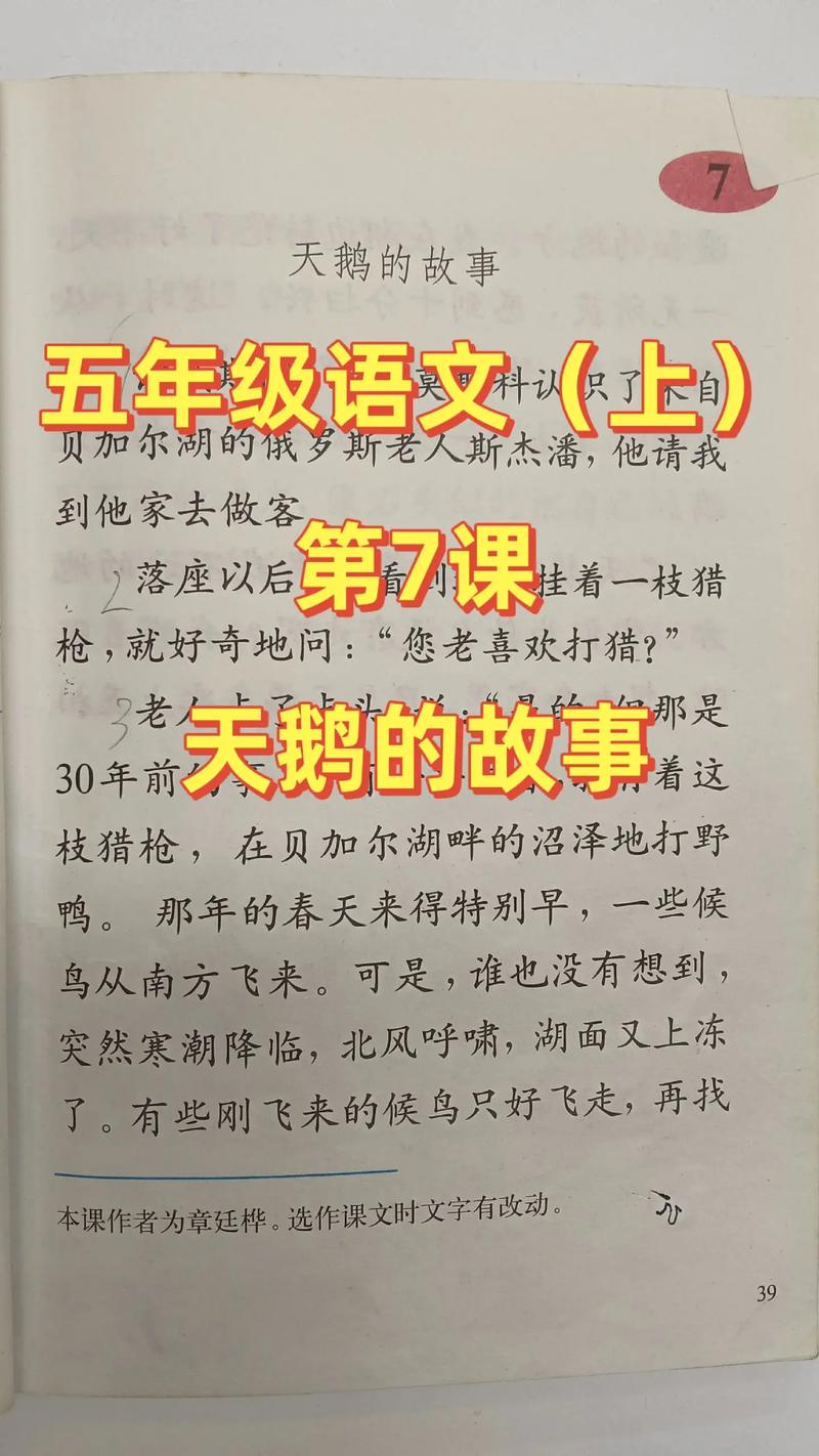 青未了/散文《天鹅海》 第1张 青未了/散文《天鹅海》 第1张