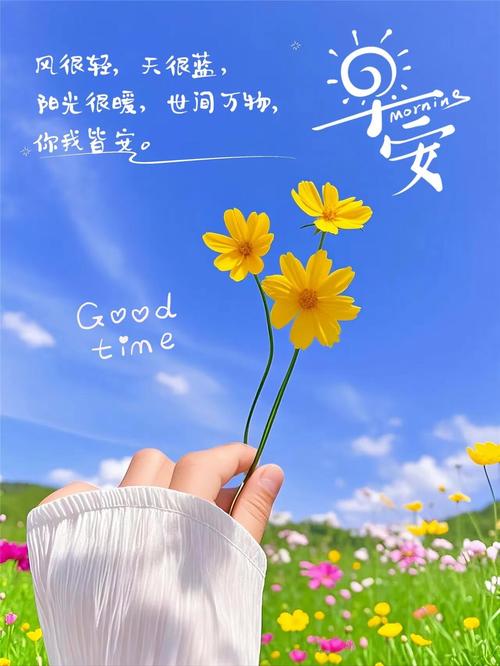 心生美好,才能定格美好 第1张 心生美好,才能定格美好 第1张