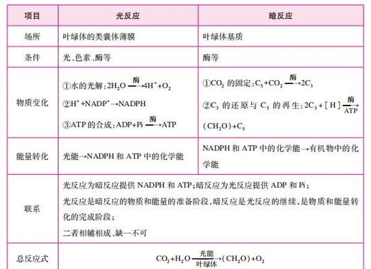 光合作用——大自然中最普通常见的化学反应 第1张 光合作用——大自然中最普通常见的化学反应 第1张