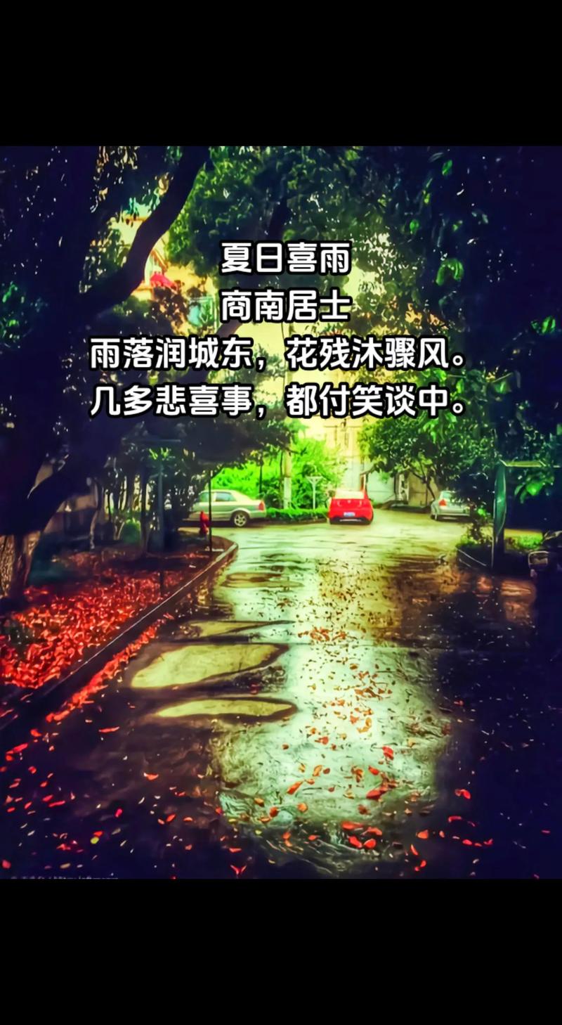 夏天的雨，携一缕清凉入心  第1张