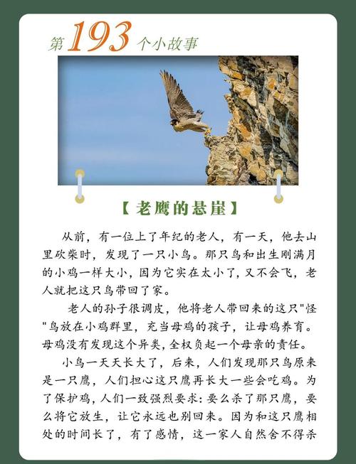 鹰志?励志文章 第1张 鹰志?励志文章 第1张