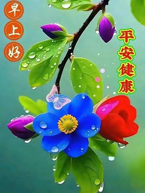 幸福暖心的早上好祝福美图美句,愿你每一天,都幸福徜徉 第1张 幸福暖心的早上好祝福美图美句,愿你每一天,都幸福徜徉 第1张