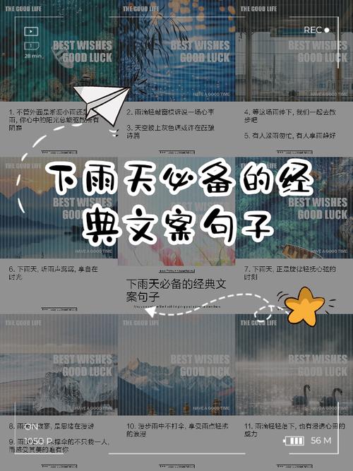 这是一个很长的文案,这是小雨跟2020的故事 第1张 这是一个很长的文案,这是小雨跟2020的故事 第1张